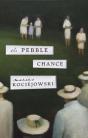 The Pebble Chance - Preview