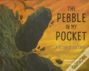 Capa do artigo The Pebble In My Pocket