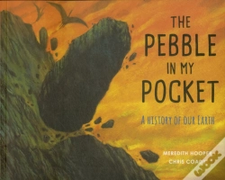 Capa do artigo The Pebble In My Pocket