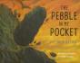 The Pebble In My Pocket - Preview