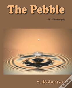 Capa do artigo The Pebble