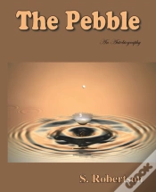 Capa do artigo The Pebble
