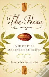 Capa do artigo The Pecan