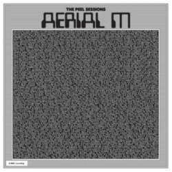 Capa do artigo The Peel Sessions - Vinil