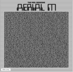 Capa do artigo The Peel Sessions - Vinil
