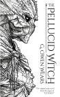 The Pellucid Witch - Preview