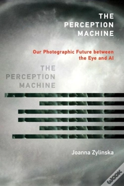 Capa do artigo The Perception Machine