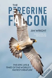 Capa do artigo The Peregrine Falcon