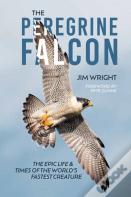 The Peregrine Falcon