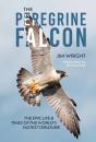 The Peregrine Falcon - Preview