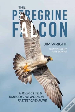 Capa do artigo The Peregrine Falcon
