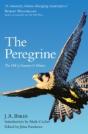 The Peregrine - Preview