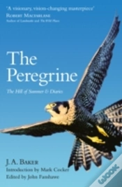 Capa do artigo The Peregrine