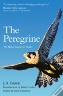 Capa do artigo The Peregrine