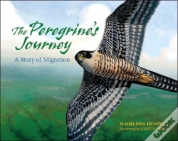 Capa do artigo The Peregrine'S Journey