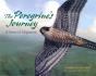 The Peregrine'S Journey - Preview