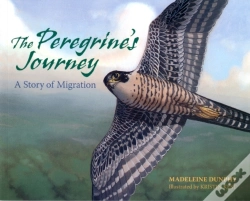 Capa do artigo The Peregrine'S Journey