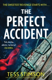 Capa do artigo The Perfect Accident