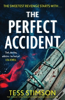 Capa do artigo The Perfect Accident