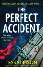 The Perfect Accident - Preview