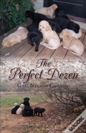 The Perfect Dozen