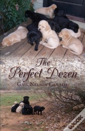 Capa do artigo The Perfect Dozen
