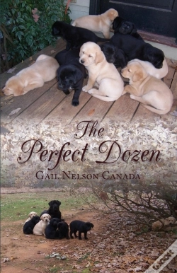Capa do artigo The Perfect Dozen