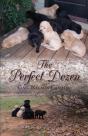 The Perfect Dozen - Preview