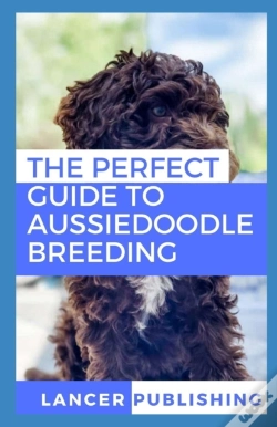 Capa do artigo The Perfect Guide To Aussiedoodle Breeding