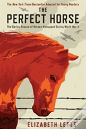 Capa do artigo The Perfect Horse