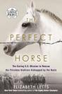 The Perfect Horse - Preview