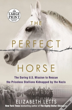 Capa do artigo The Perfect Horse