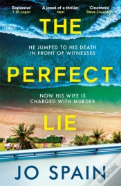 Capa do artigo The Perfect Lie
