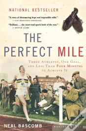 Capa do artigo The Perfect Mile