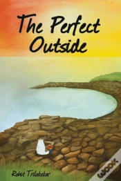Capa do artigo The Perfect Outside