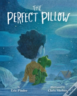 Capa do artigo The Perfect Pillow