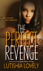 The Perfect Revenge - Preview