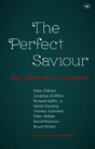 The Perfect Saviour - Preview
