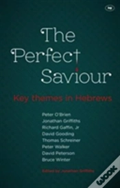 Capa do artigo The Perfect Saviour