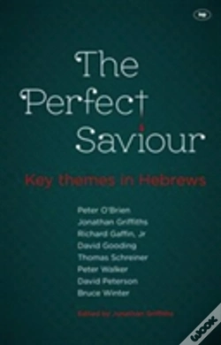 Capa do artigo The Perfect Saviour