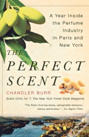 Capa do artigo The Perfect Scent