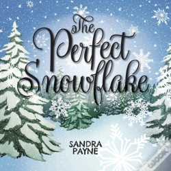 Capa do artigo The Perfect Snowflake
