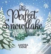Capa do artigo The Perfect Snowflake