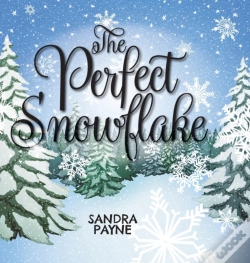 Capa do artigo The Perfect Snowflake
