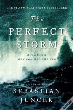 Capa do artigo The Perfect Storm