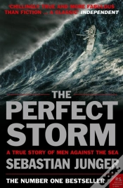 Capa do artigo The Perfect Storm
