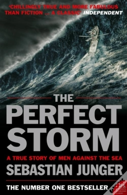Capa do artigo The Perfect Storm