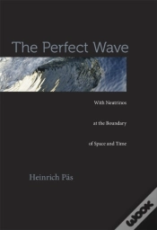 Capa do artigo The Perfect Wave