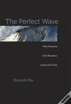 Capa do artigo The Perfect Wave