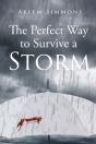The Perfect Way To Survive A Storm - Preview